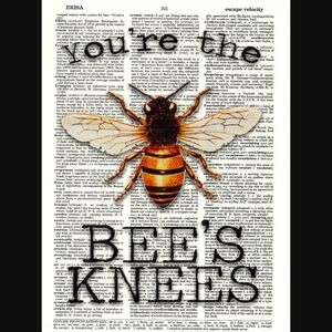 Bees Knees Dictionary Art Print